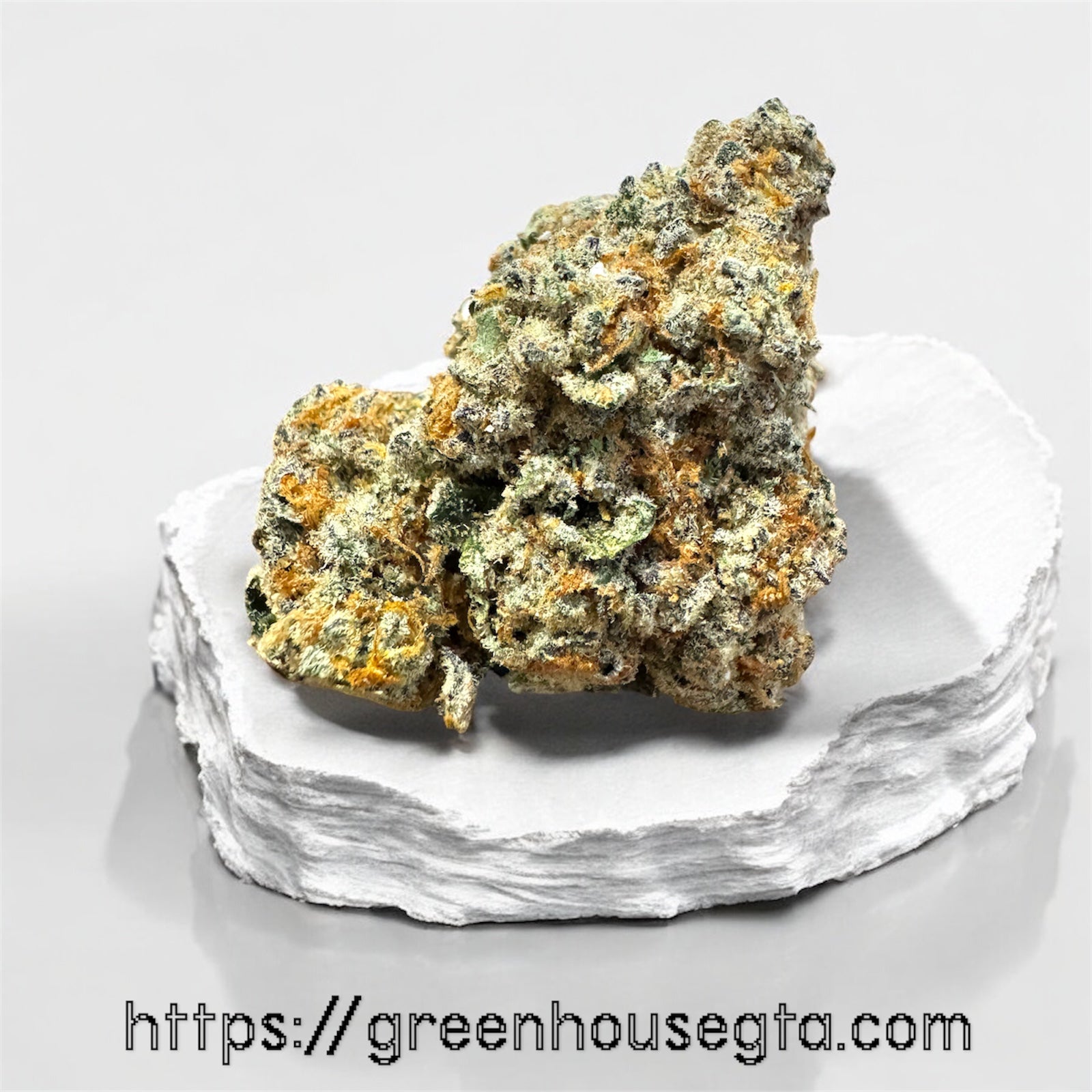 Jack the Ripper AAA Sativa 28% THC – Bright Citrus Weed Toronto & GTA | GreenHouseGTA