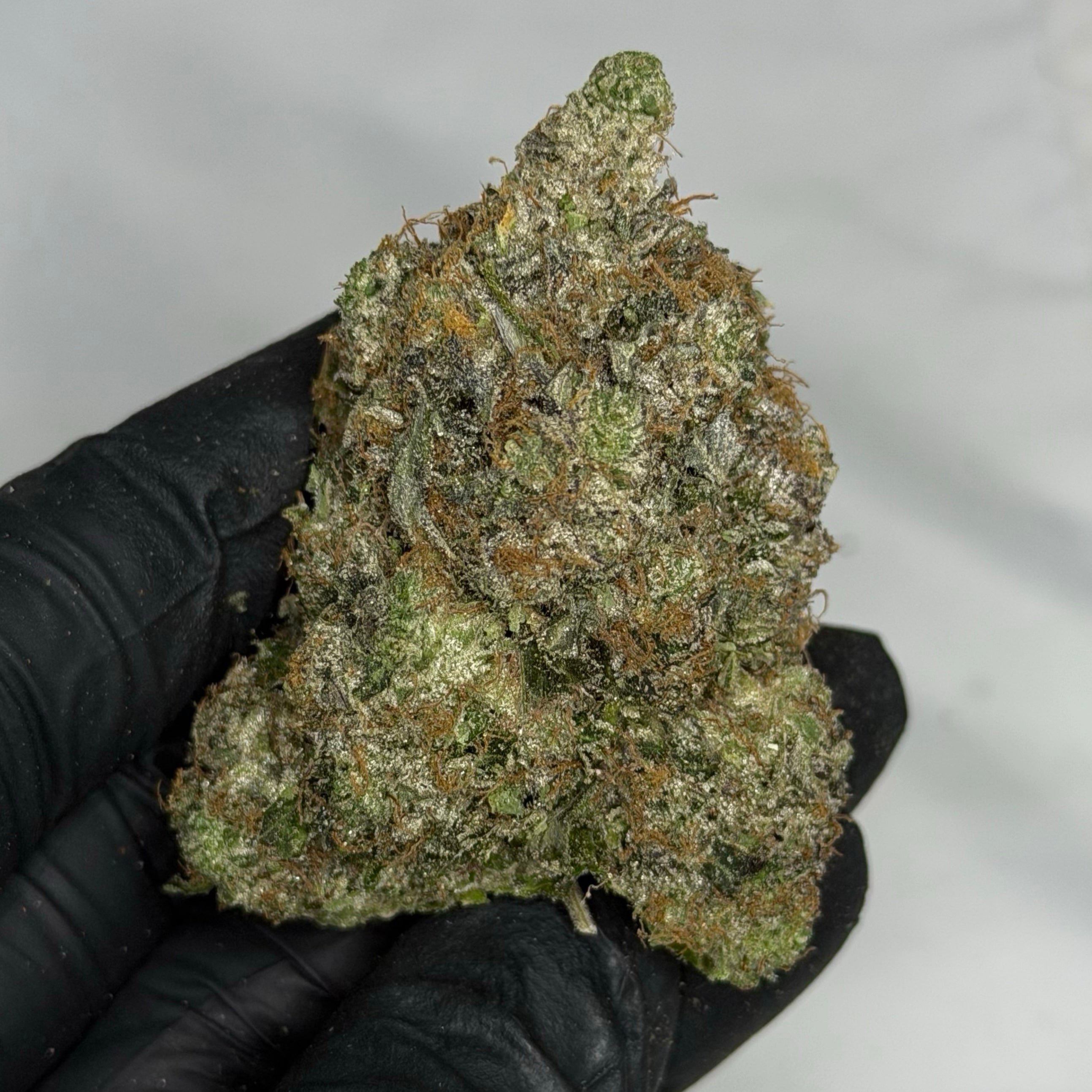Jet Fuel XO ✈️ ALL PRODUCTS FLOWERS HYBRID