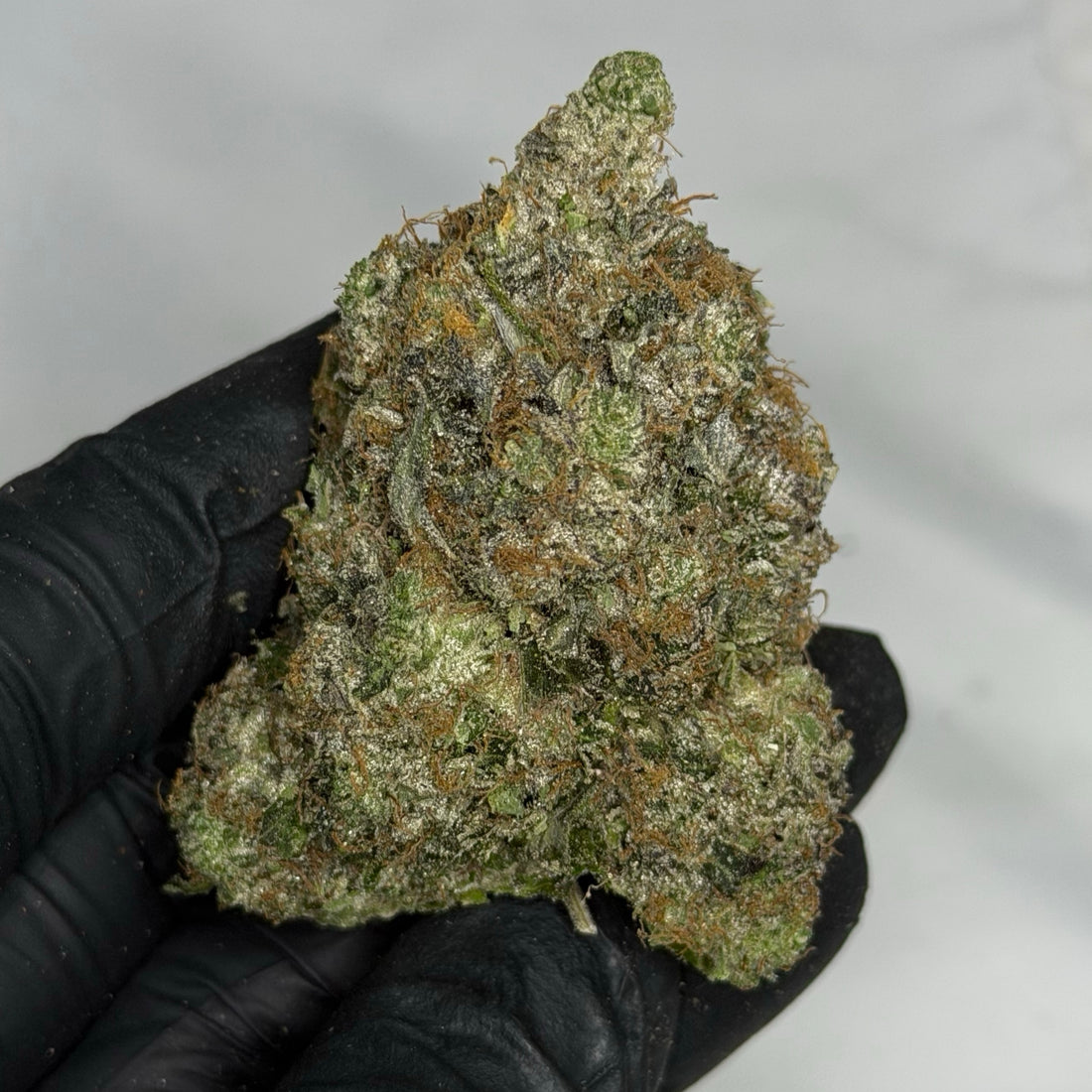 Jet Fuel XO ✈️ ALL PRODUCTS FLOWERS HYBRID