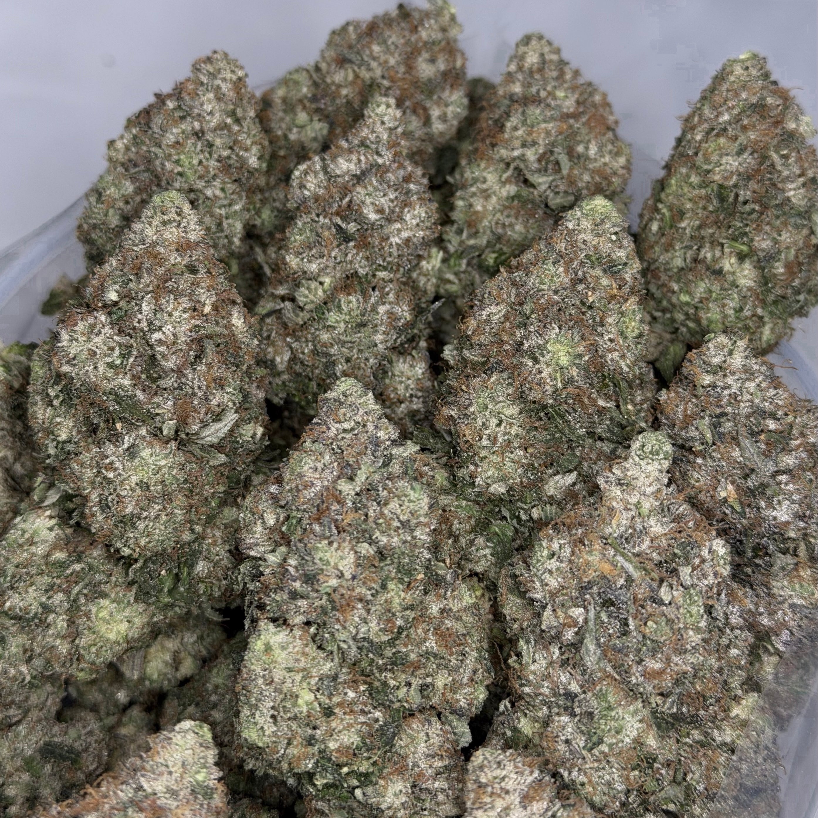 Jet Fuel XO ✈️ ALL PRODUCTS FLOWERS HYBRID