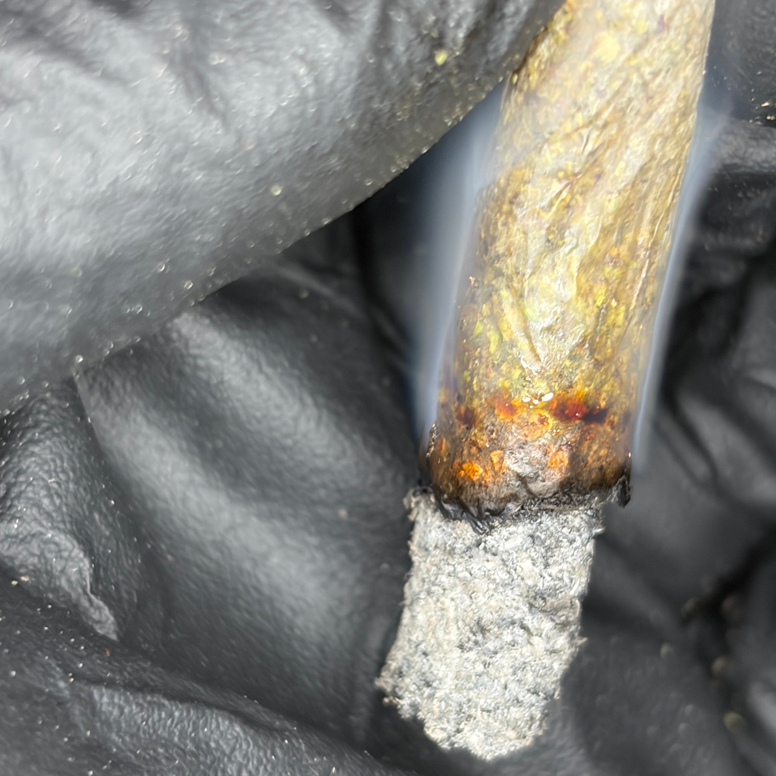 Joint of Pink TruffleZ LSO burning clean white ash – Living Soil Organic indica weed – Toronto GTA delivery