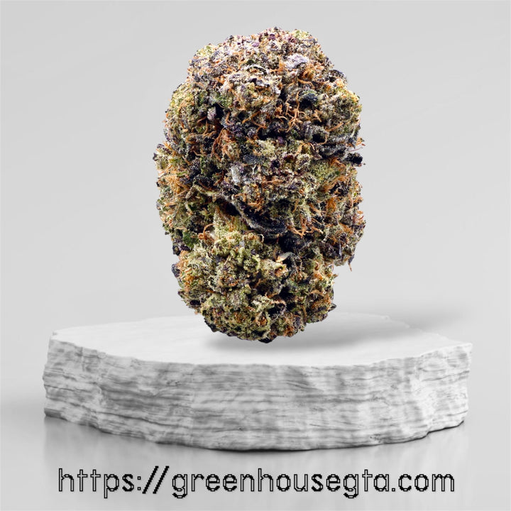 King Kush Ultra AAAA+ Indica Gas – Frosty Dense Cannabis Bud on White Pedestal – Toronto Weed Delivery