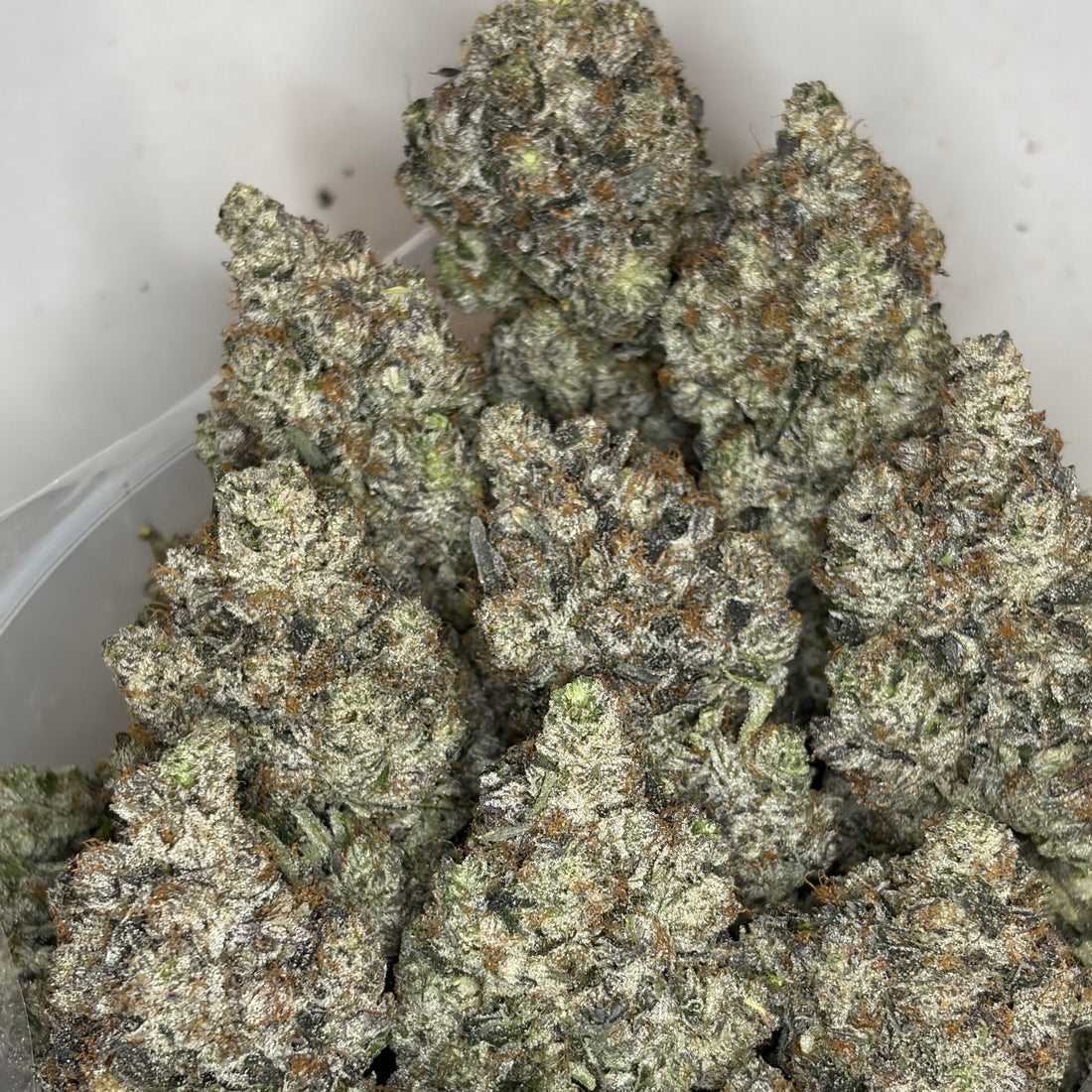 King Louis XIII strain close-up – bright green buds with thick resin trichomes and sharp OG diesel aroma