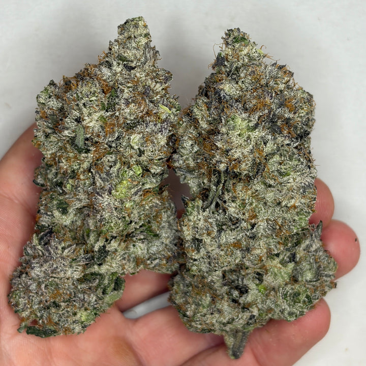 King Louis XIII AAAAA Indica 38% THC super quads – dense lime green buds with heavy gas nose Toronto weed delivery
