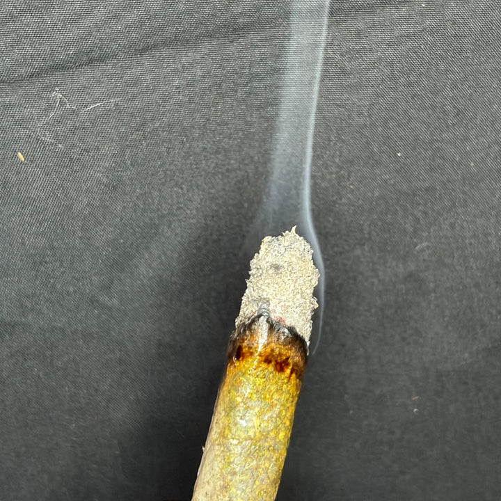 King Louis XIII AAAAA Indica – size comparison with joints white ash, showcasing big sticky premium gas buds