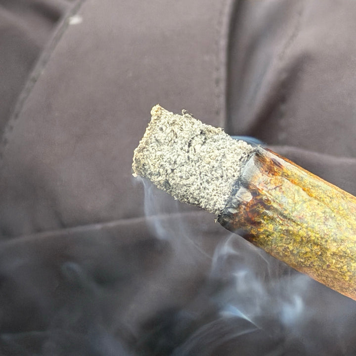 Kiss of Death clean burn white ash joint smooth smoke test – buy weed online Toronto