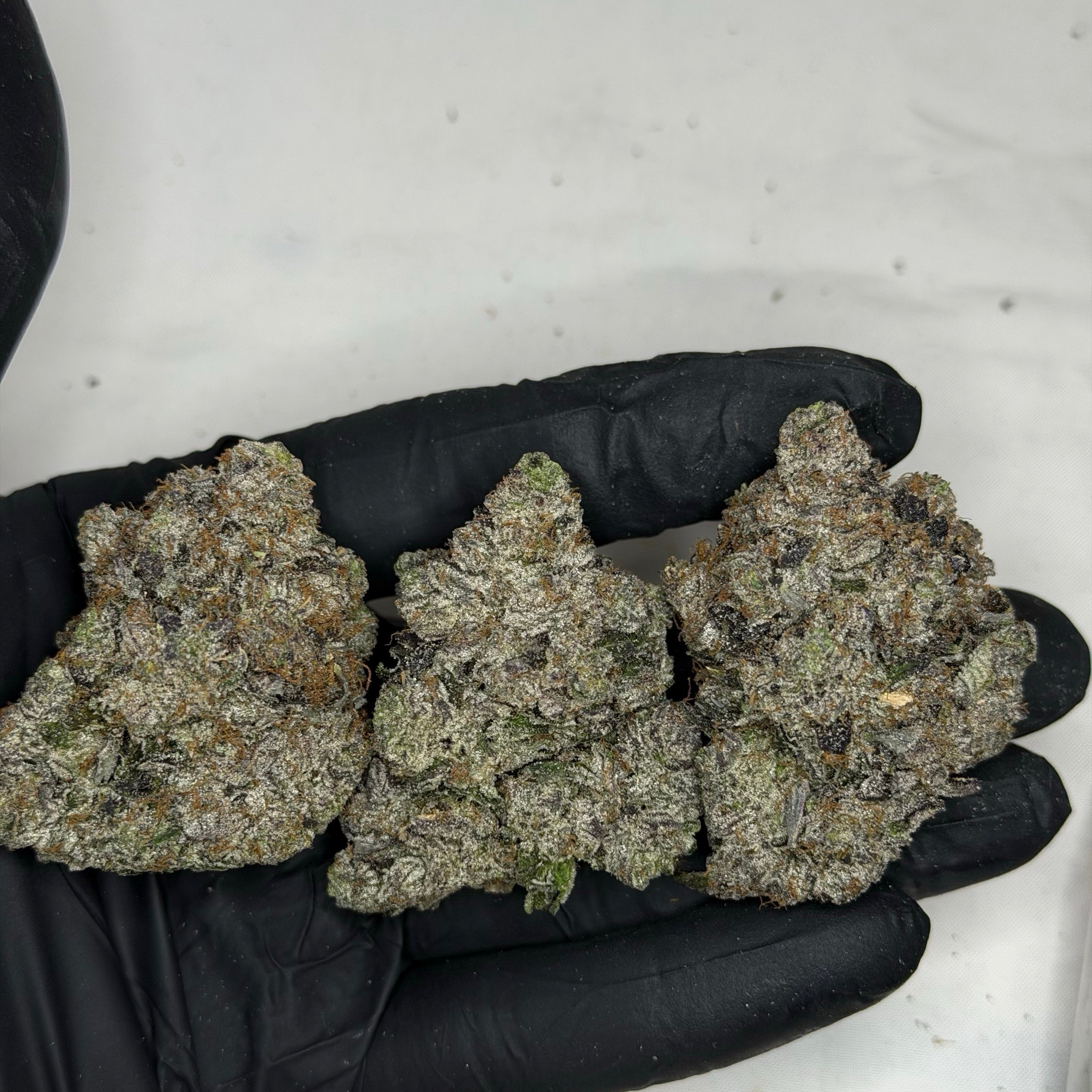 Kraft Pink LSO AAAAA Indica 38% THC large purple buds premium craft cannabis weed delivery Toronto