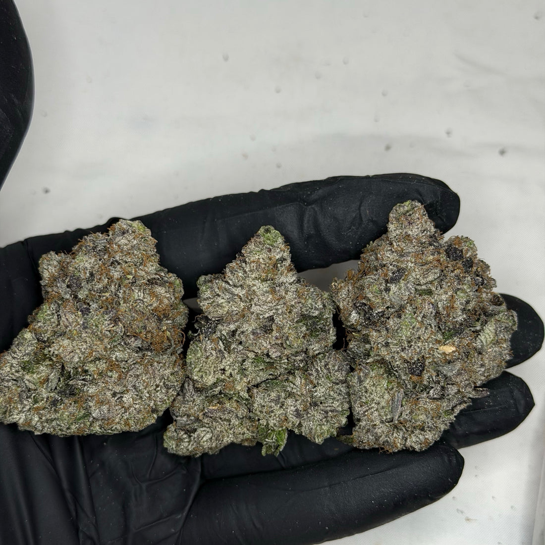 Kraft Pink LSO AAAAA Indica 38% THC large purple buds premium craft cannabis weed delivery Toronto