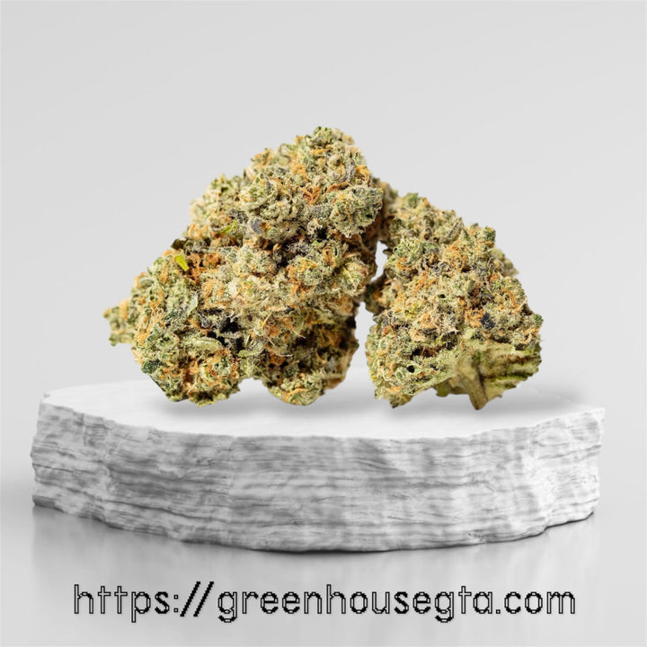 Lemon Breeze AAA sativa weed strain – premium cannabis delivery Etobicoke – GreenHouseGTA