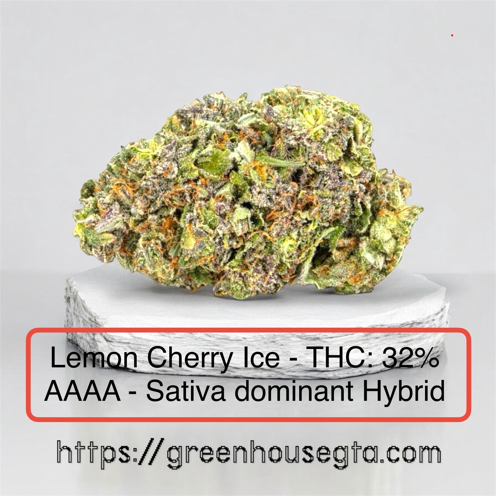 Lemon Cherry Ice AAAA cannabis bud macro shot – frosty green and yellow trichomes – premium weed delivery Toronto