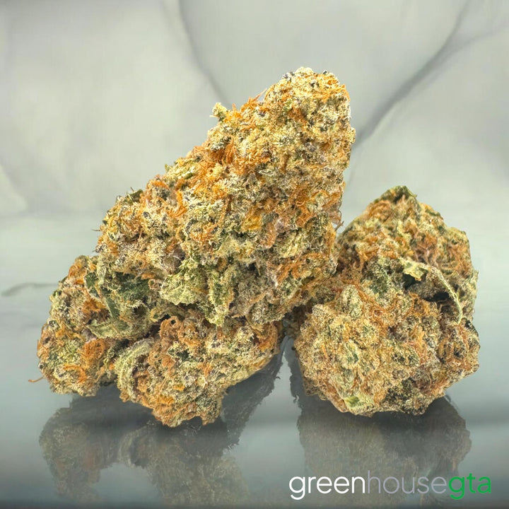 Lemon Daydream ALL PRODUCTS FLOWERS SATIVA