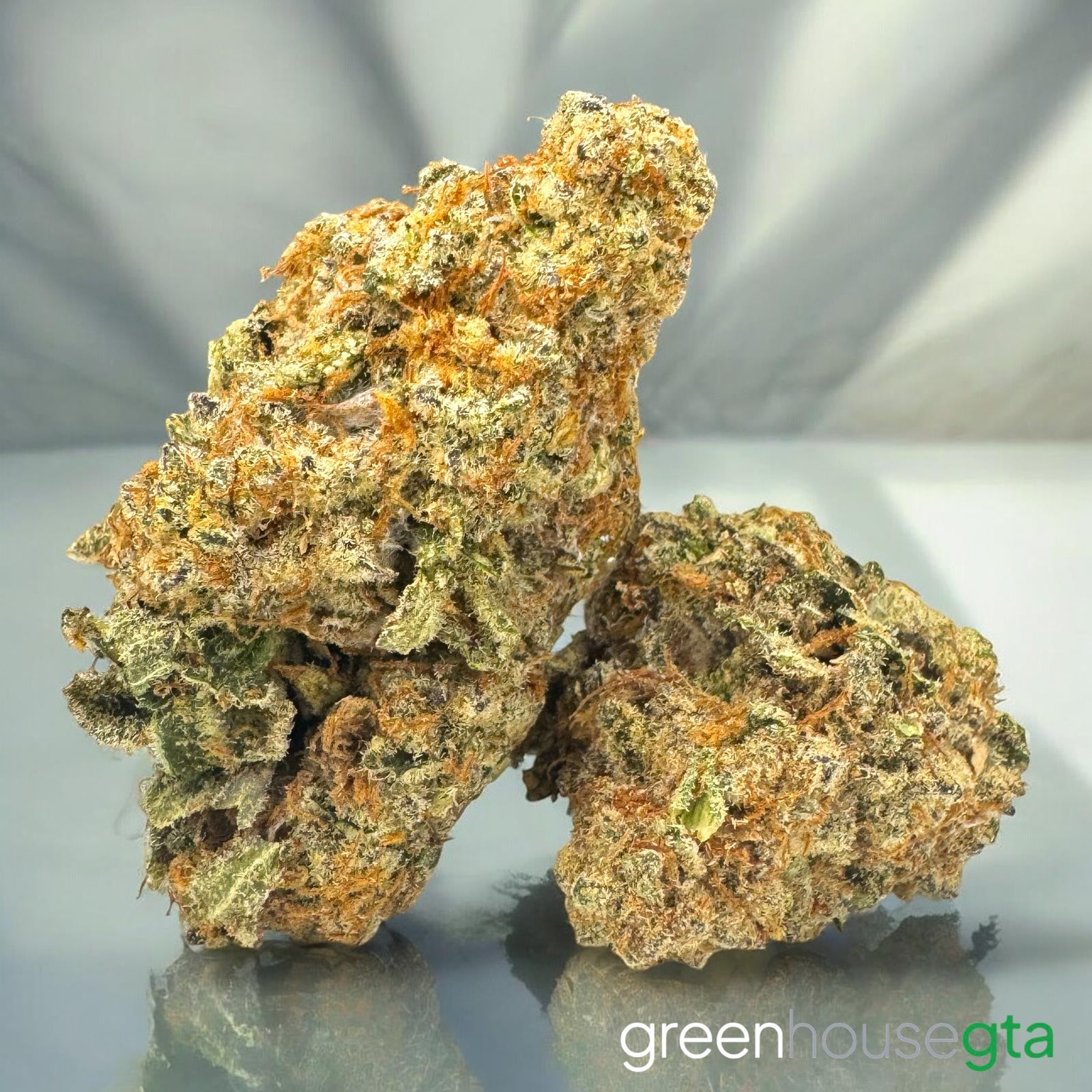 Lemon Daydream ALL PRODUCTS FLOWERS SATIVA