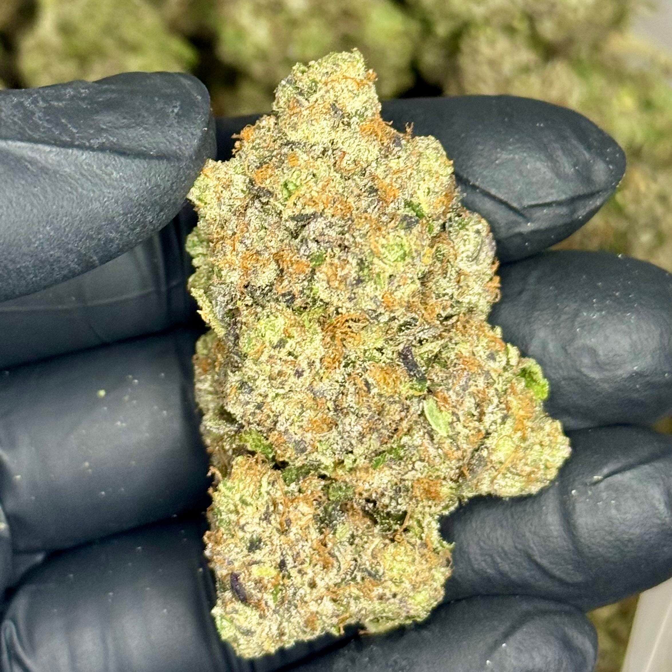 Lemon Maraschino AAAAA Hybrid 38% THC – premium cannabis bud close-up, dense and frosty trichomes, Toronto weed delivery