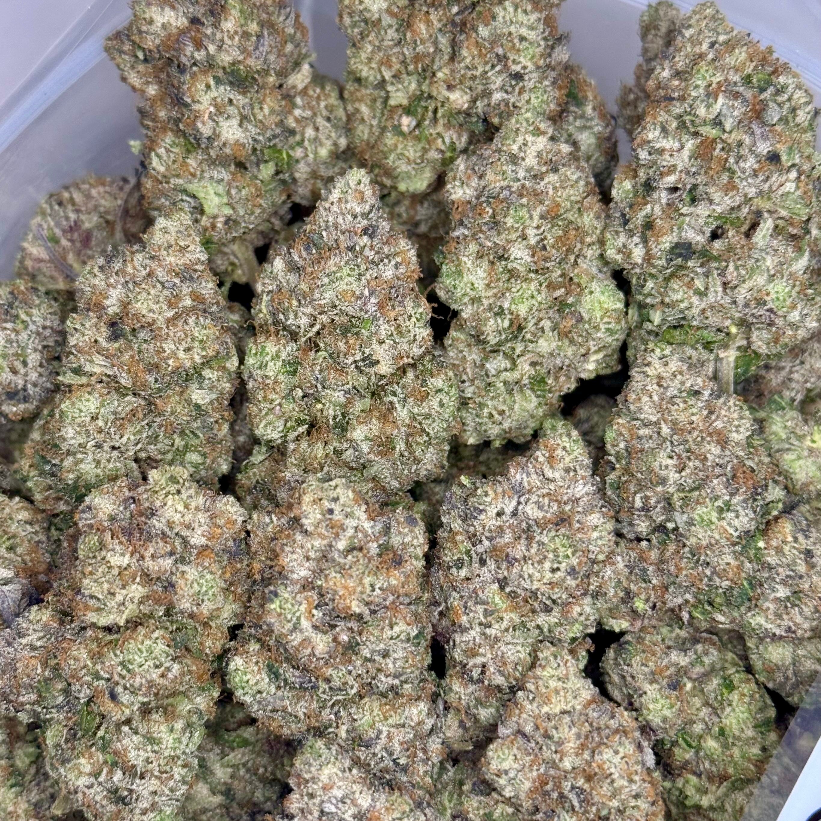Lemon Maraschino AAAAA Hybrid flower – dense clusters with bright orange hairs, same-day weed delivery GTA