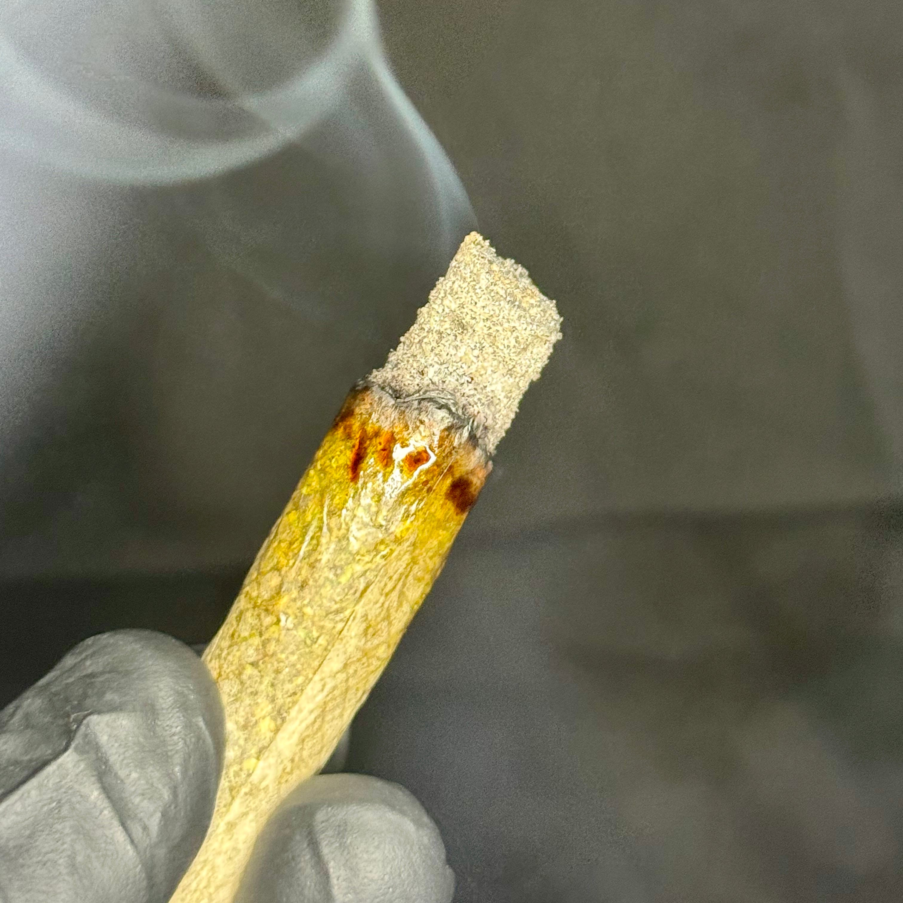 Slow burning Lemon Maraschino joint – white ash, clean burn, premium Toronto weed strain