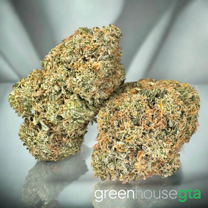 Super Mango Haze