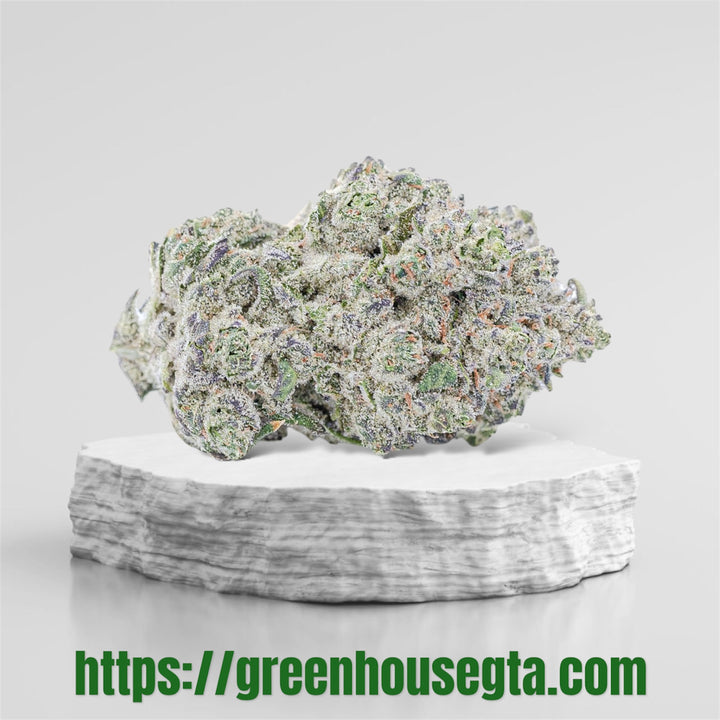 Mango Amnesia sativa weed strain – premium cannabis delivery Mississauga – GreenHouseGTA