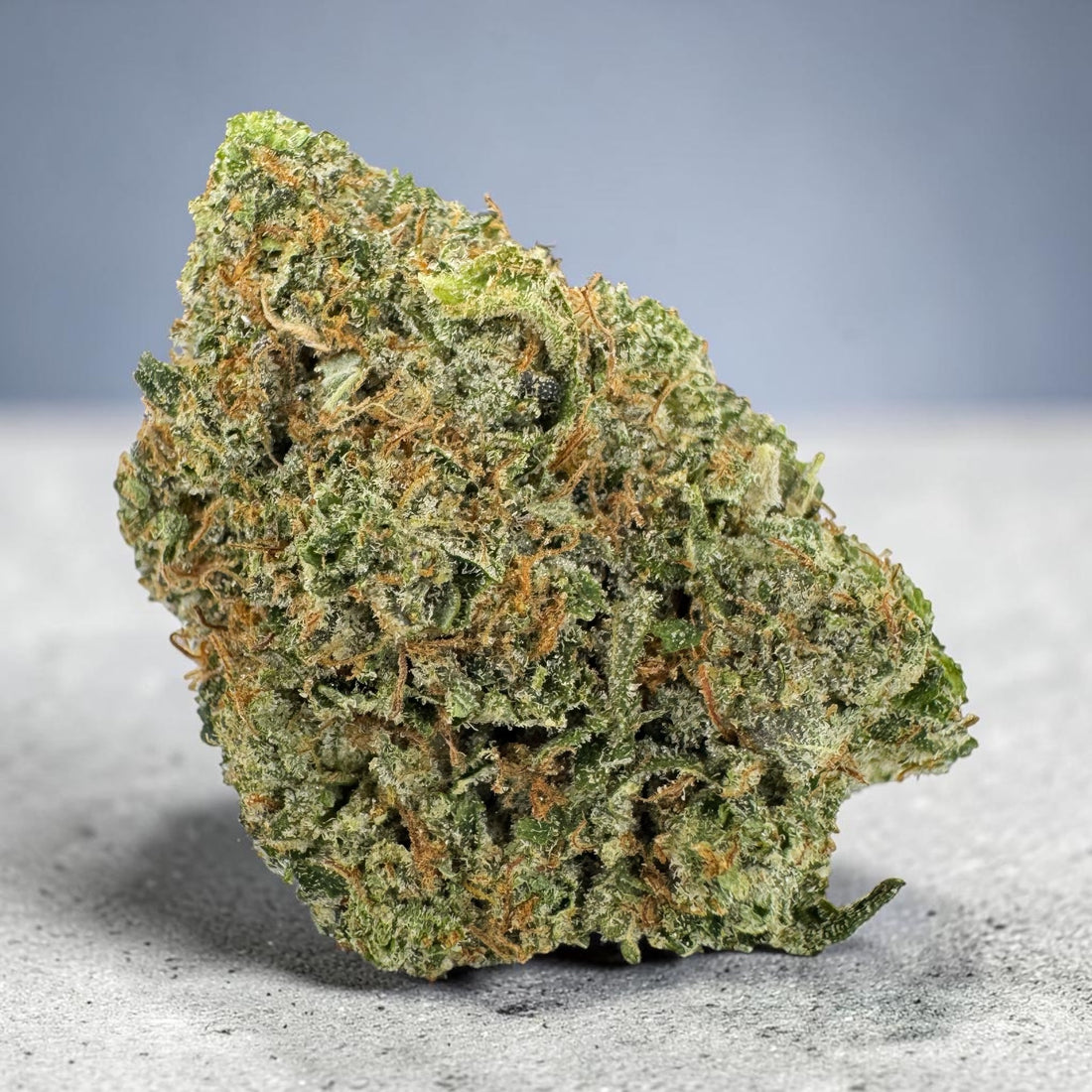 Master King Pink AAAA Indica 33% THC premium gas buds | GreenHouseGTA Toronto