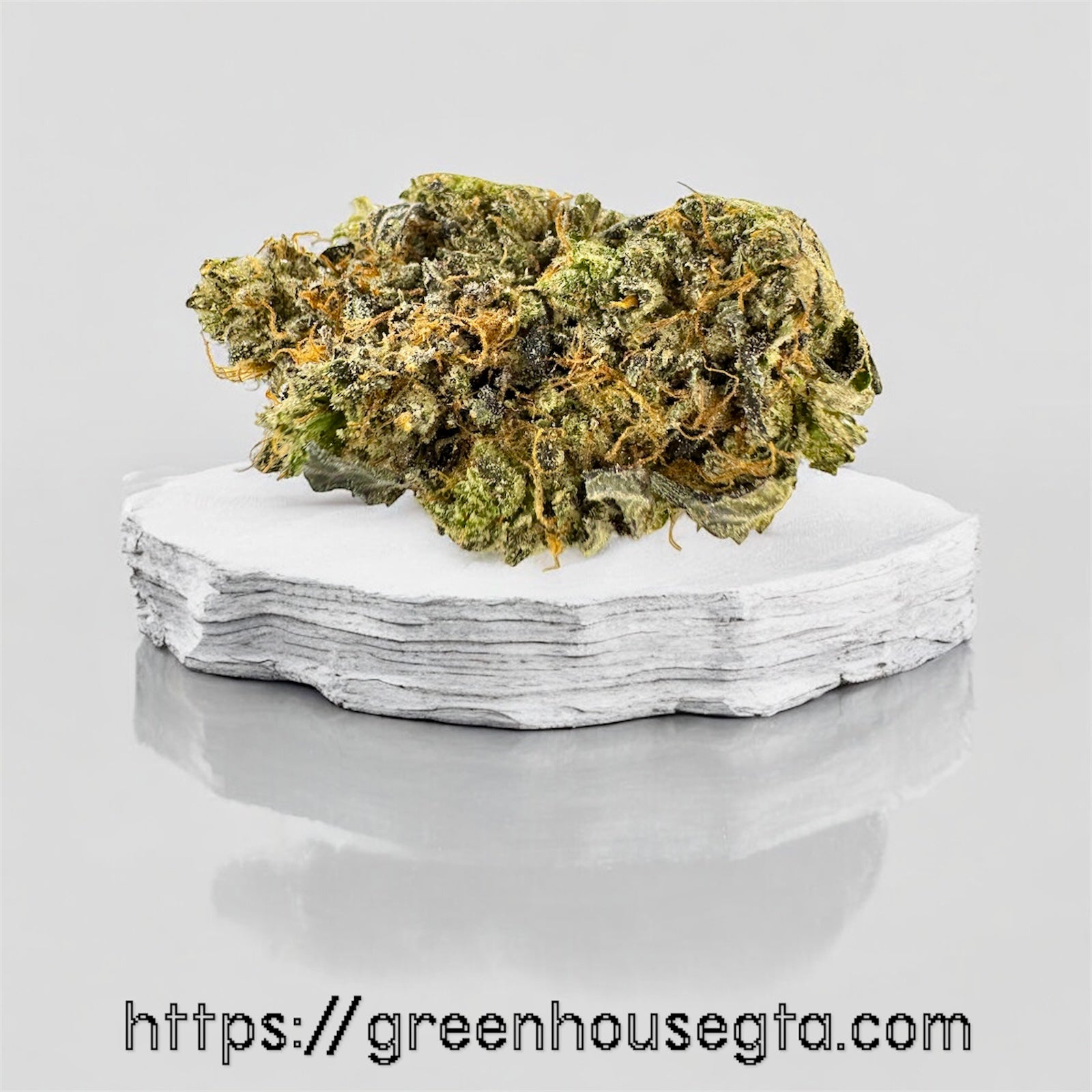 Mega Pink AAAA Indica flower 32% THC with dense medium buds – premium gas strain by GreenHouseGTA weed delivery Toronto
