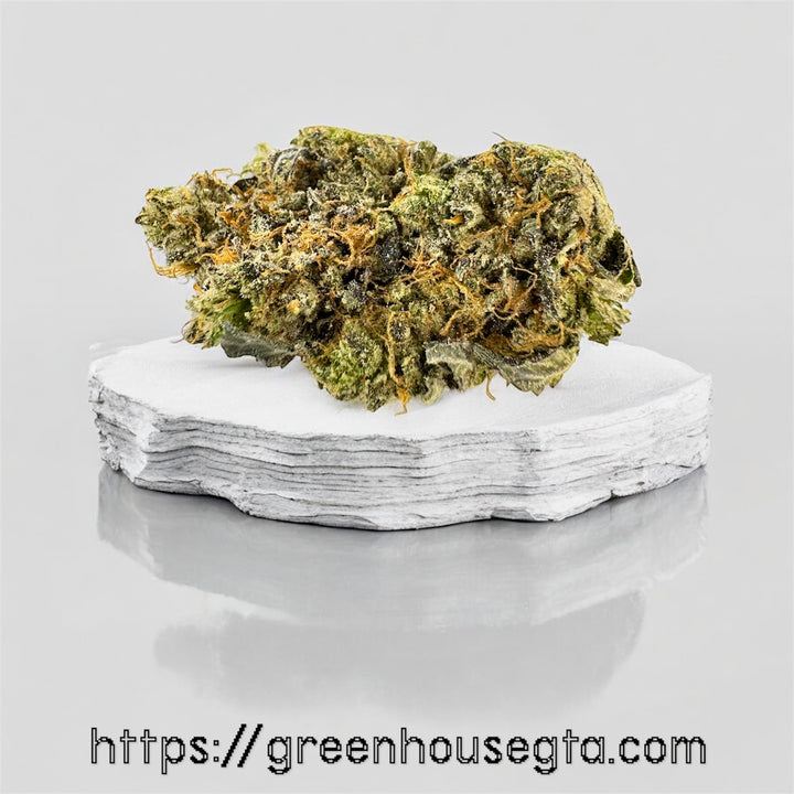 Mega Pink AAAA Indica flower 32% THC with dense medium buds – premium gas strain by GreenHouseGTA weed delivery Toronto
