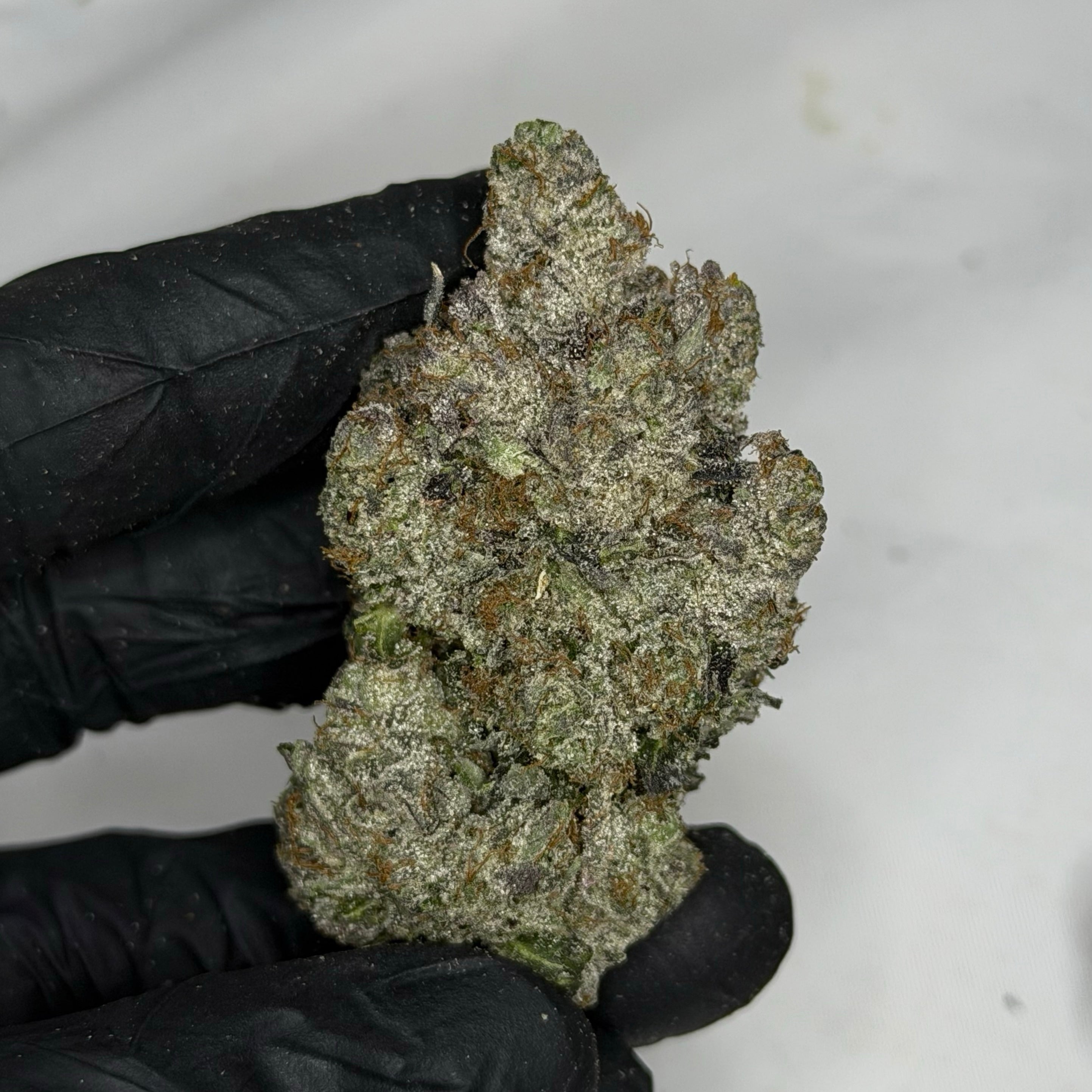 Megaman Pink ALL PRODUCTS FLOWERS INDICA