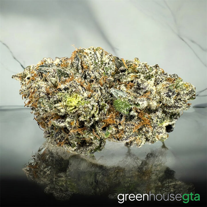 Mochi Gelato Pink AAAA Indica frosted buds – buy weed online Toronto GTA