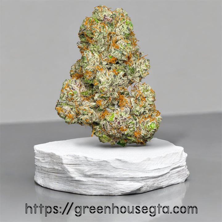 Moon Puppies AAAA Sativa-Dominant Hybrid 32% THC – Toronto weed delivery GreenHouseGTA