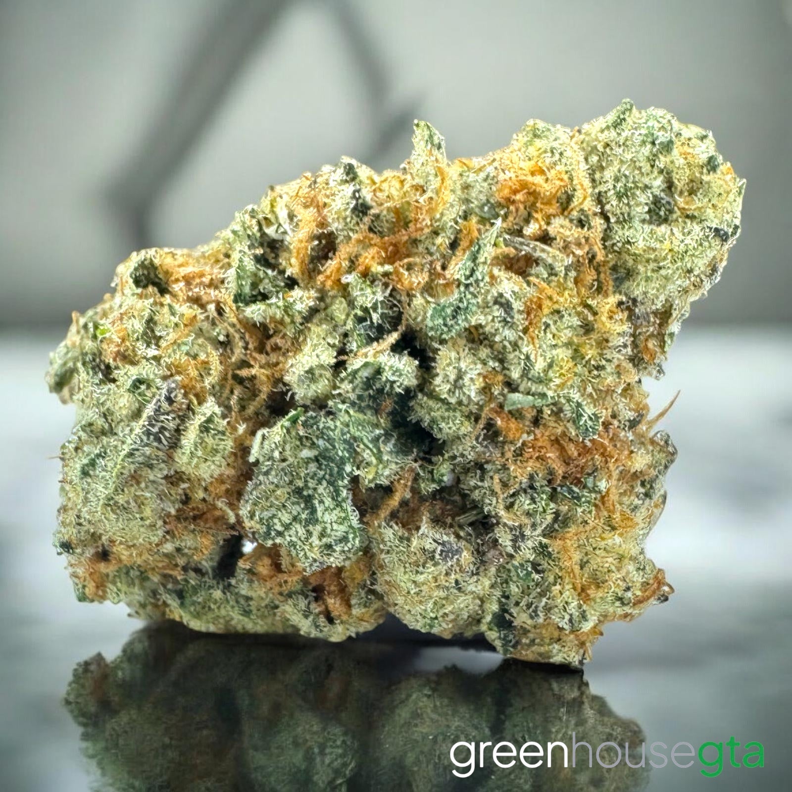 Night Owl Kush 🦉 ALL PRODUCTS FLOWERS INDICA