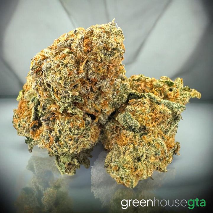 Night Owl Kush 🦉 ALL PRODUCTS FLOWERS INDICA