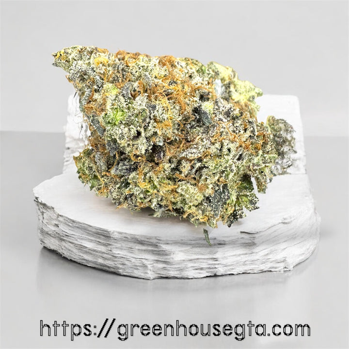 Nightmare Chrismas AAAA+ Indica flower 34% THC – premium weed delivery Toronto