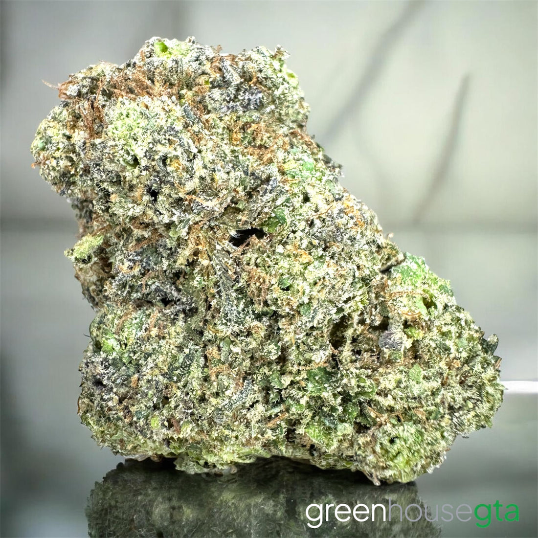 Nuclear Punch Pink AAAA hybrid strain 33% THC – strong gassy cannabis bud Toronto weed delivery