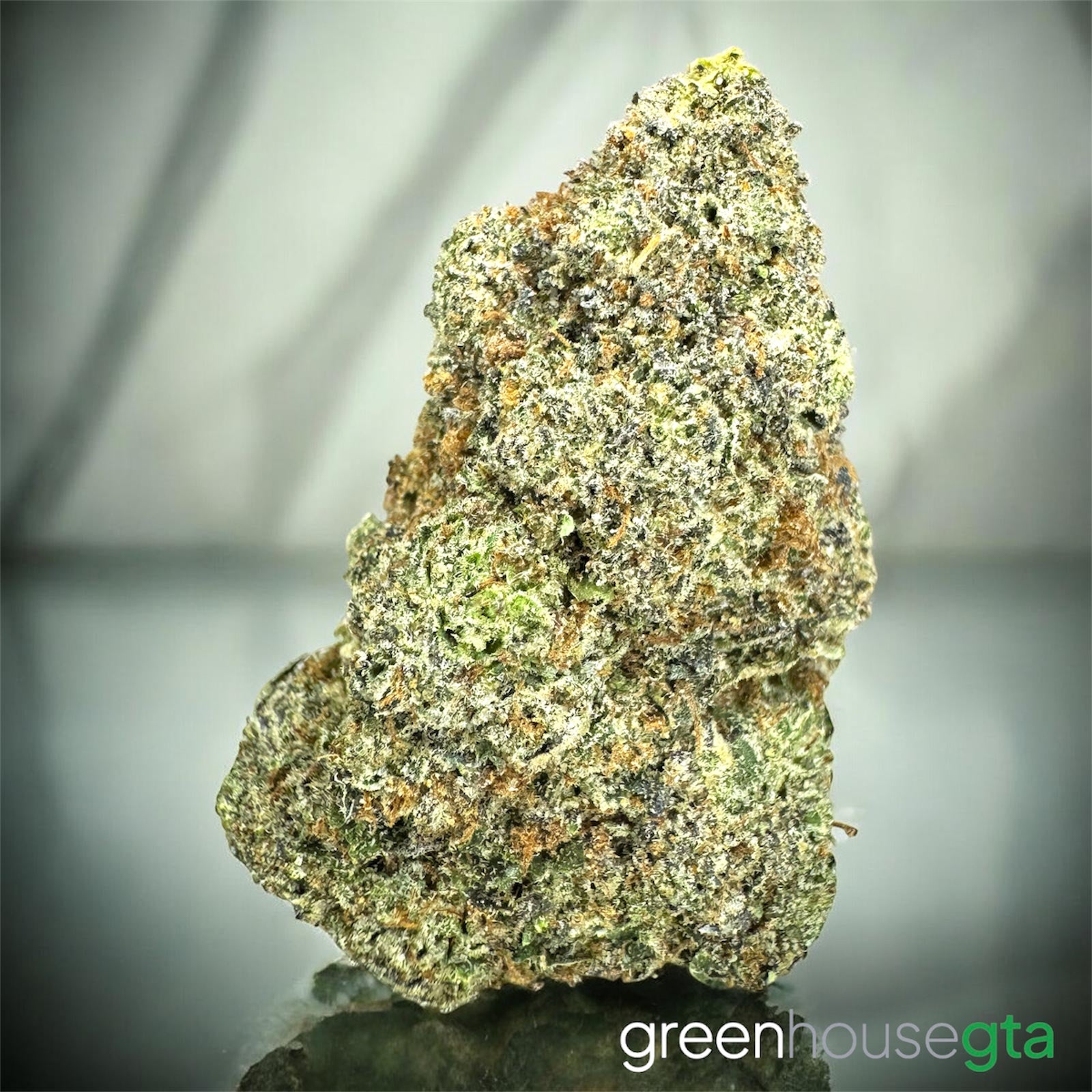 Nuclear Punch Pink AAAA hybrid close-up bud – premium gas strain Toronto weed delivery