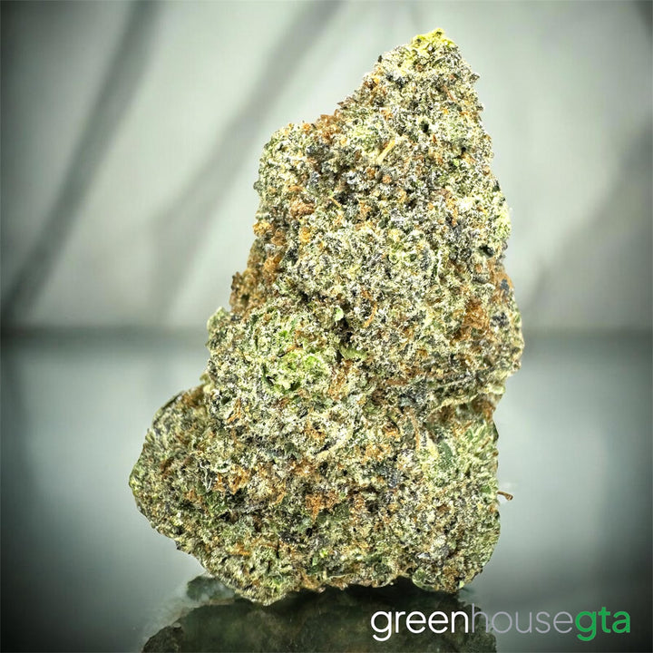 Nuclear Punch Pink AAAA hybrid close-up bud – premium gas strain Toronto weed delivery