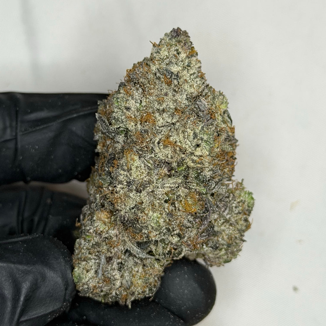 OG Punisher Pink LSO AAAAA Indica 42% THC bud | GreenHouseGTA Toronto