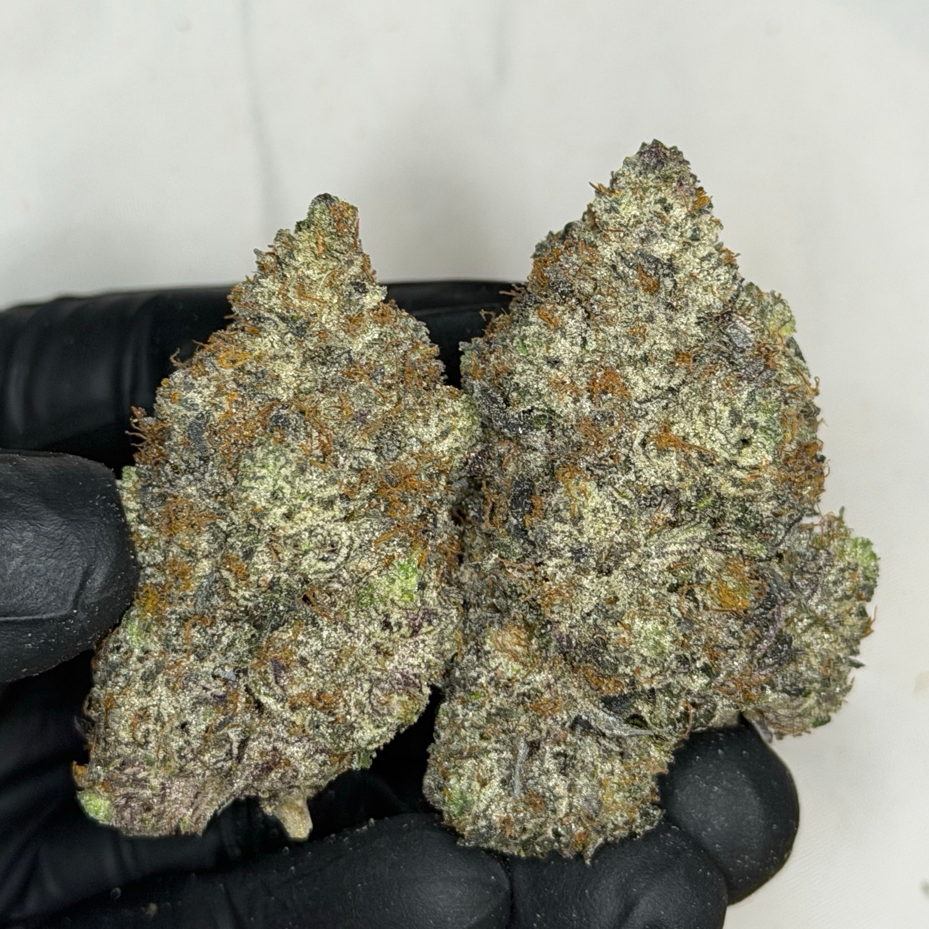 OG Punisher Pink LSO premium AAAAA Super Quads buds | GreenHouseGTA