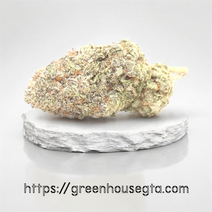 Orange Sapphire AAAA Sativa 34% THC bright blueberry orange cannabis bud – Toronto weed delivery