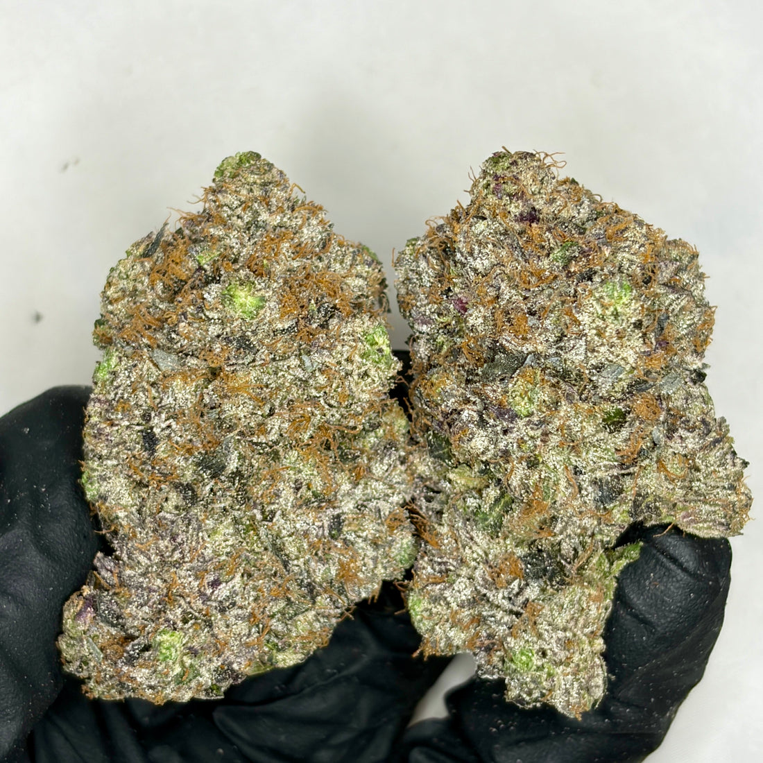 Pink CEO LSO AAAAA Indica 42% THC – rare luxury gas strain Toronto weed delivery