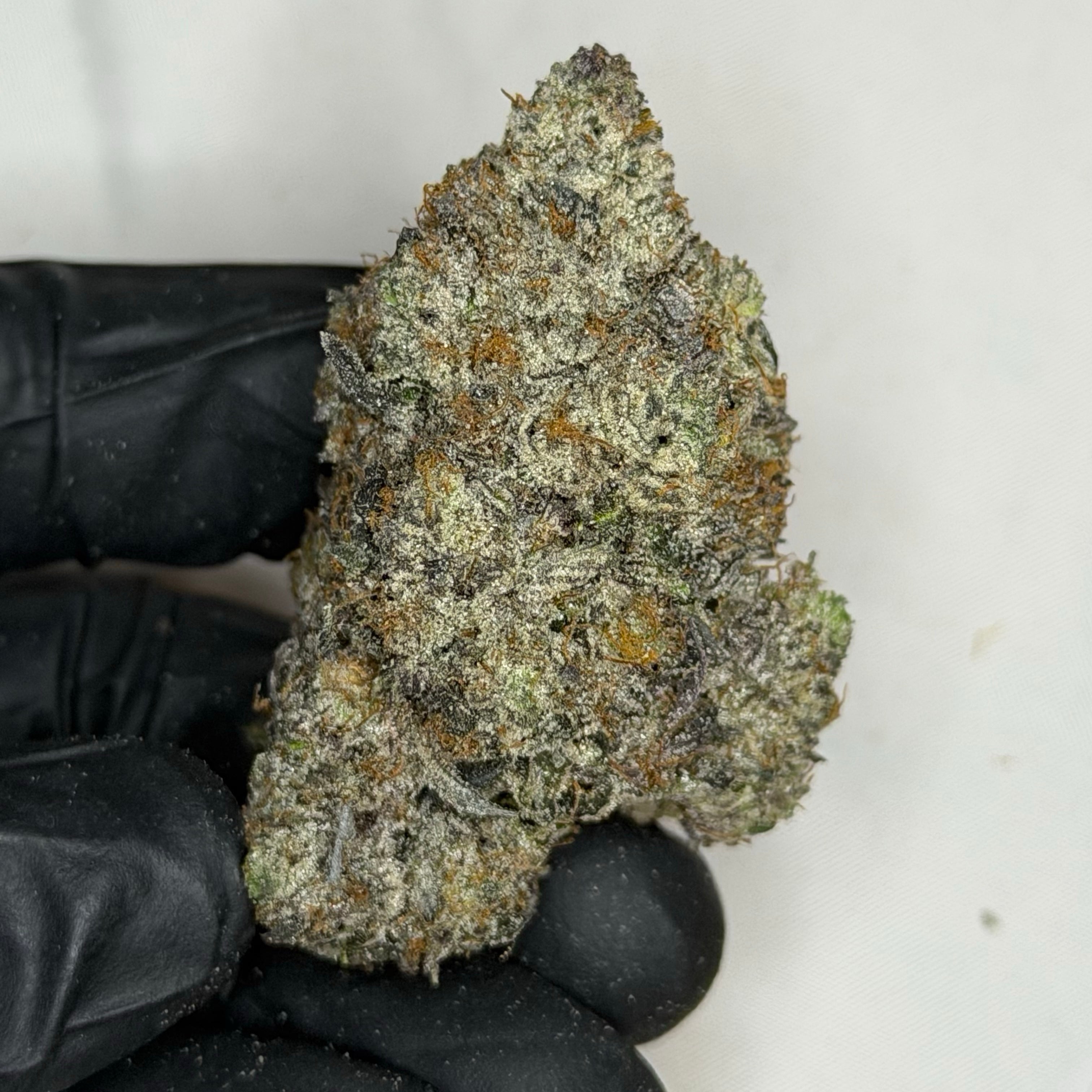 alms Pink LSO AAAAA Indica living soil pink gas flower 39 percent THC weed delivery Toronto
