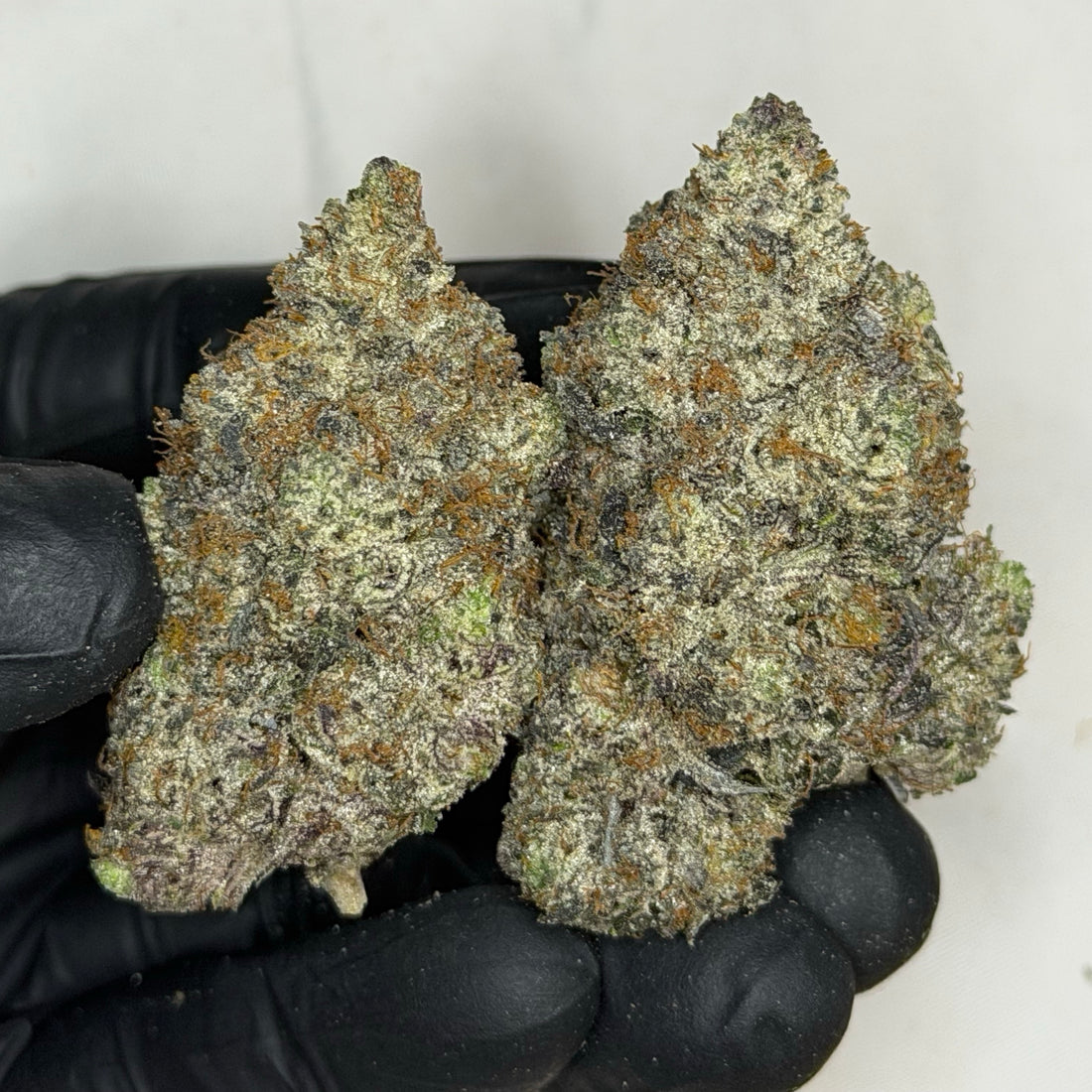 Palms Pink LSO premium living soil cannabis buds same day weed delivery Toronto