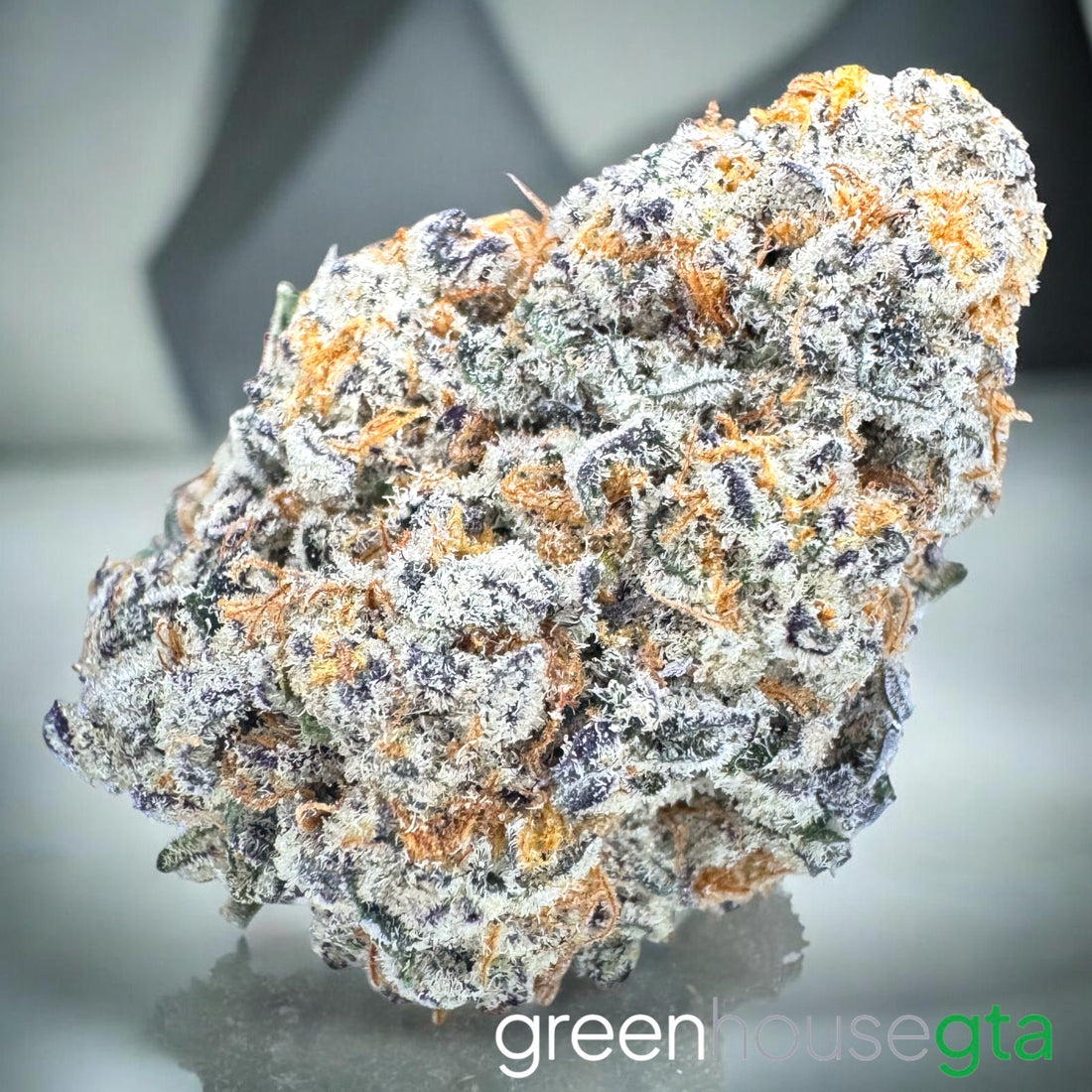 Paradise Punch AA+ hybrid flower with tropical fruit terpenes - weed delivery Toronto
