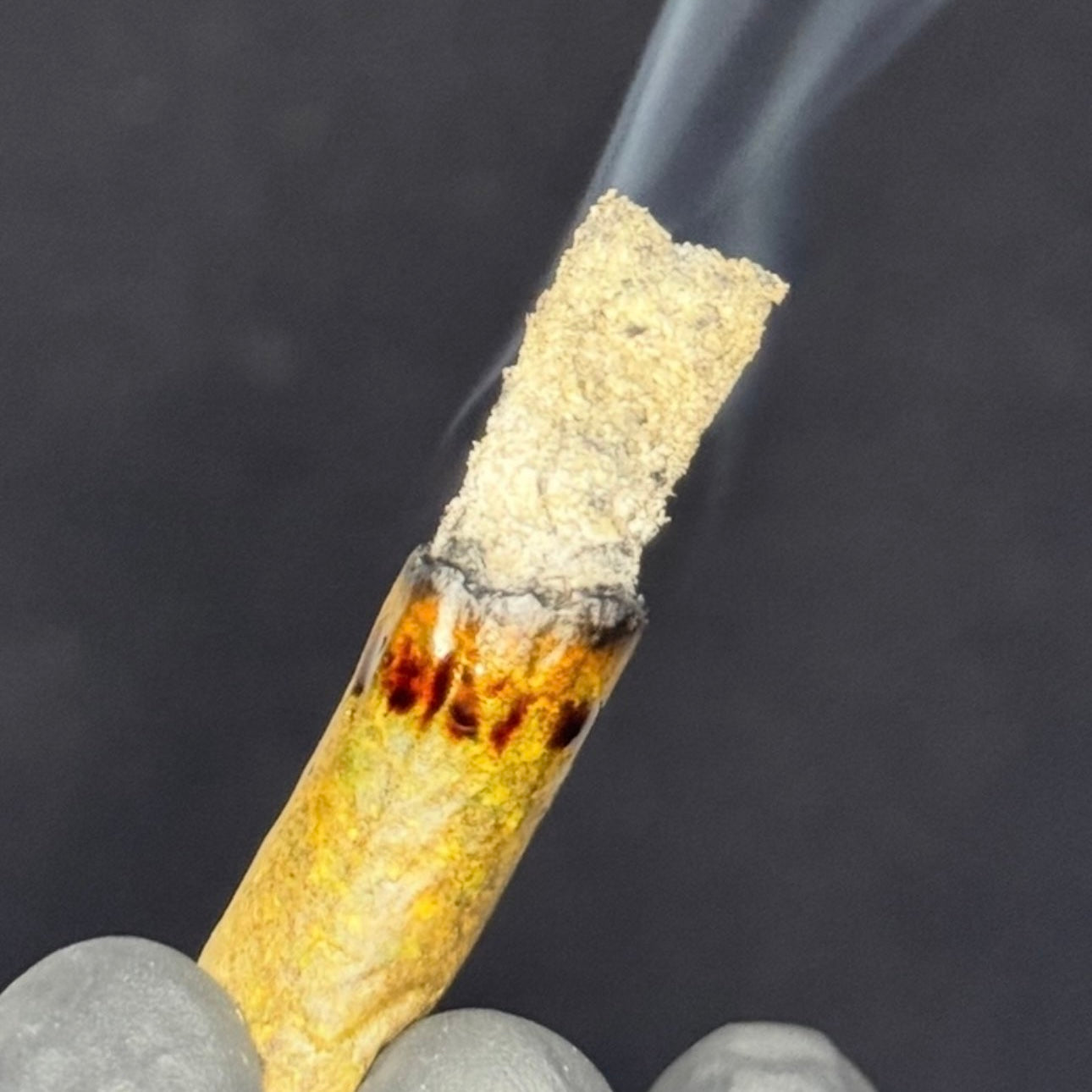 Passout Pink LSO AAAAA Indica – 38% THC luxury gas strain joint burning with white ash and smooth smoke – Toronto weed delivery