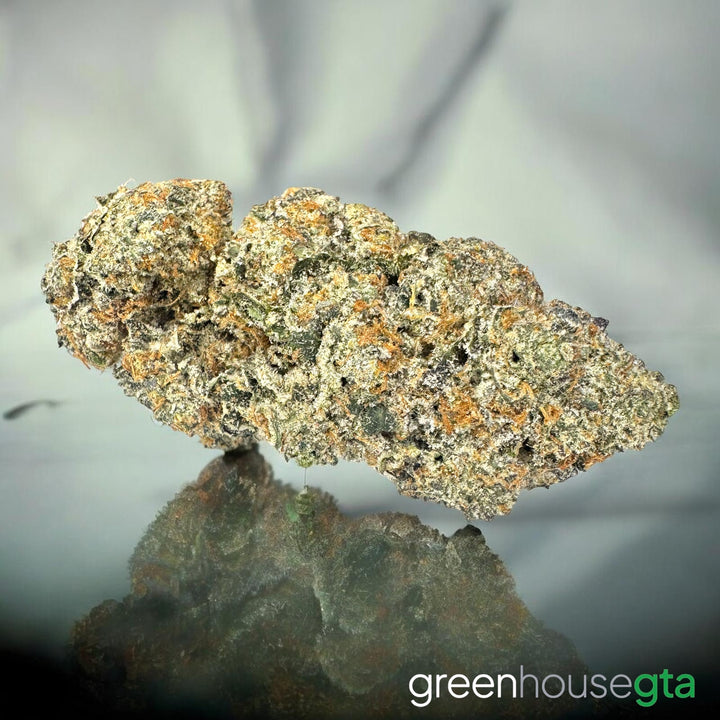 Peanut Butter Souffle AAA+ Hybrid flower with creamy peanut butter terpenes - weed delivery Toronto