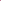 Permanent Pink AAA+ Indica strain banner – premium gas cannabis flower – same-day weed delivery Toronto GTA