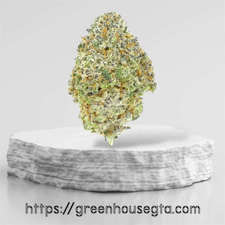Phantom Rise sativa weed strain – buy AAA weed online Markham – GreenHouseGTA
