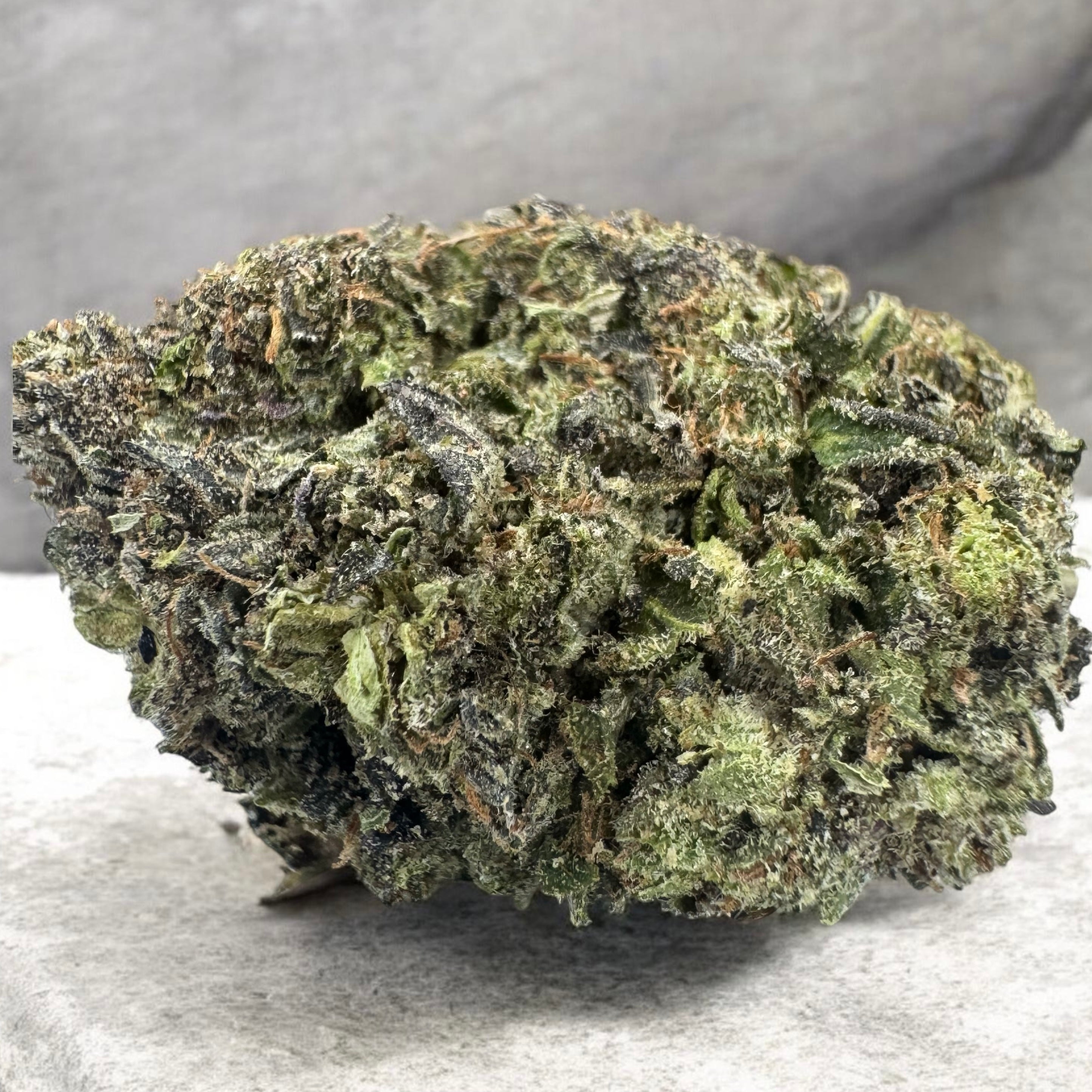 Gas Syndicate AAAA Indica 34% THC premium cannabis flower Toronto – GreenHouseGTA 2