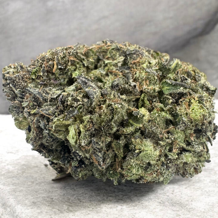 Gas Syndicate AAAA Indica 34% THC premium cannabis flower Toronto – GreenHouseGTA 2