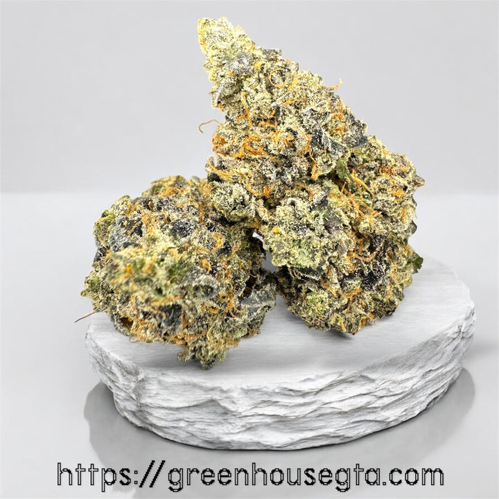 Close-up Pink Bellagio buds – premium AAAAA LSO indica with creamy sweet gas terps | same-day cannabis delivery GTA