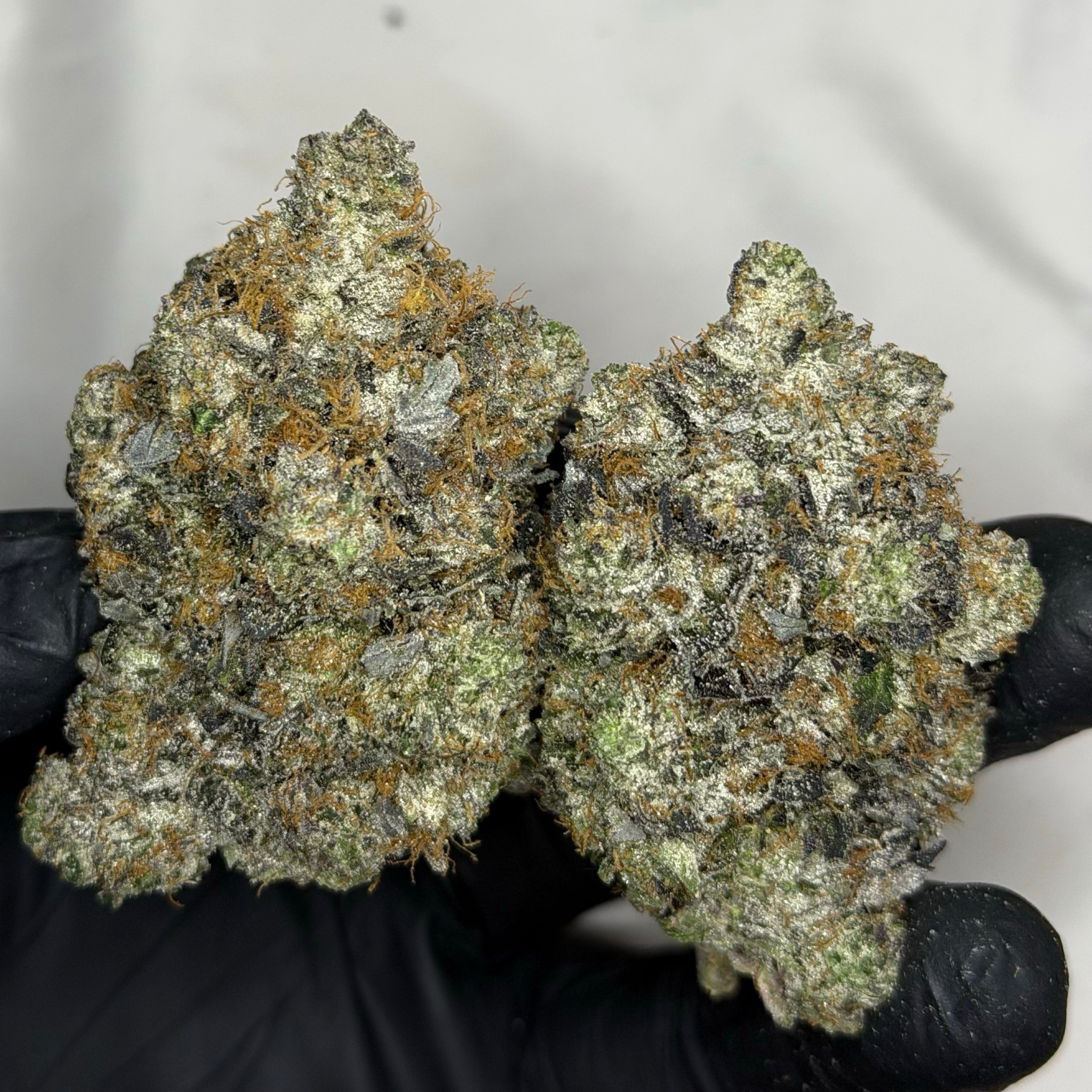 Pink Cartier AAAAA pink gas buds available for same day weed delivery Toronto