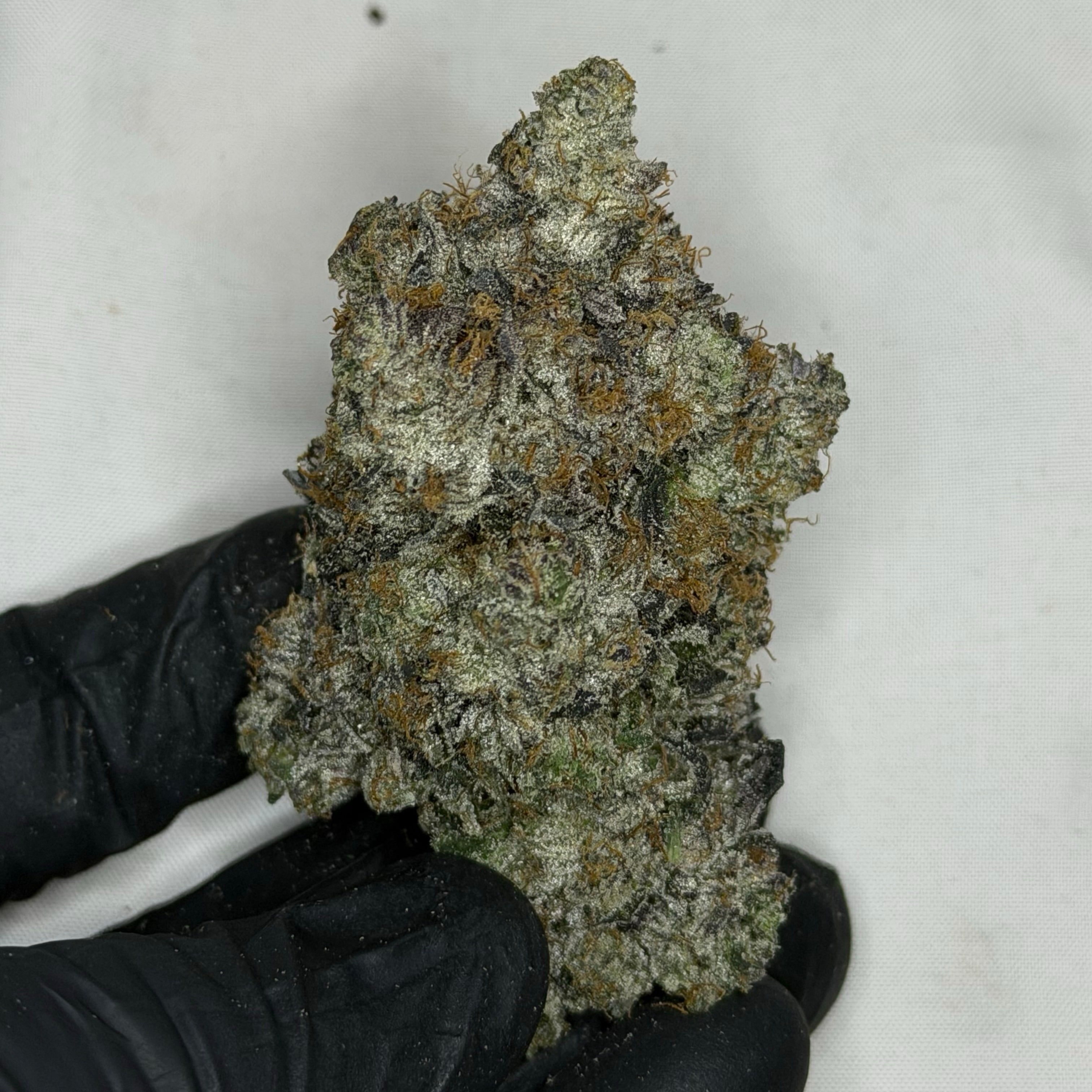 Pink Cartier AAAAA Indica premium pink gas flower for weed delivery in Toronto