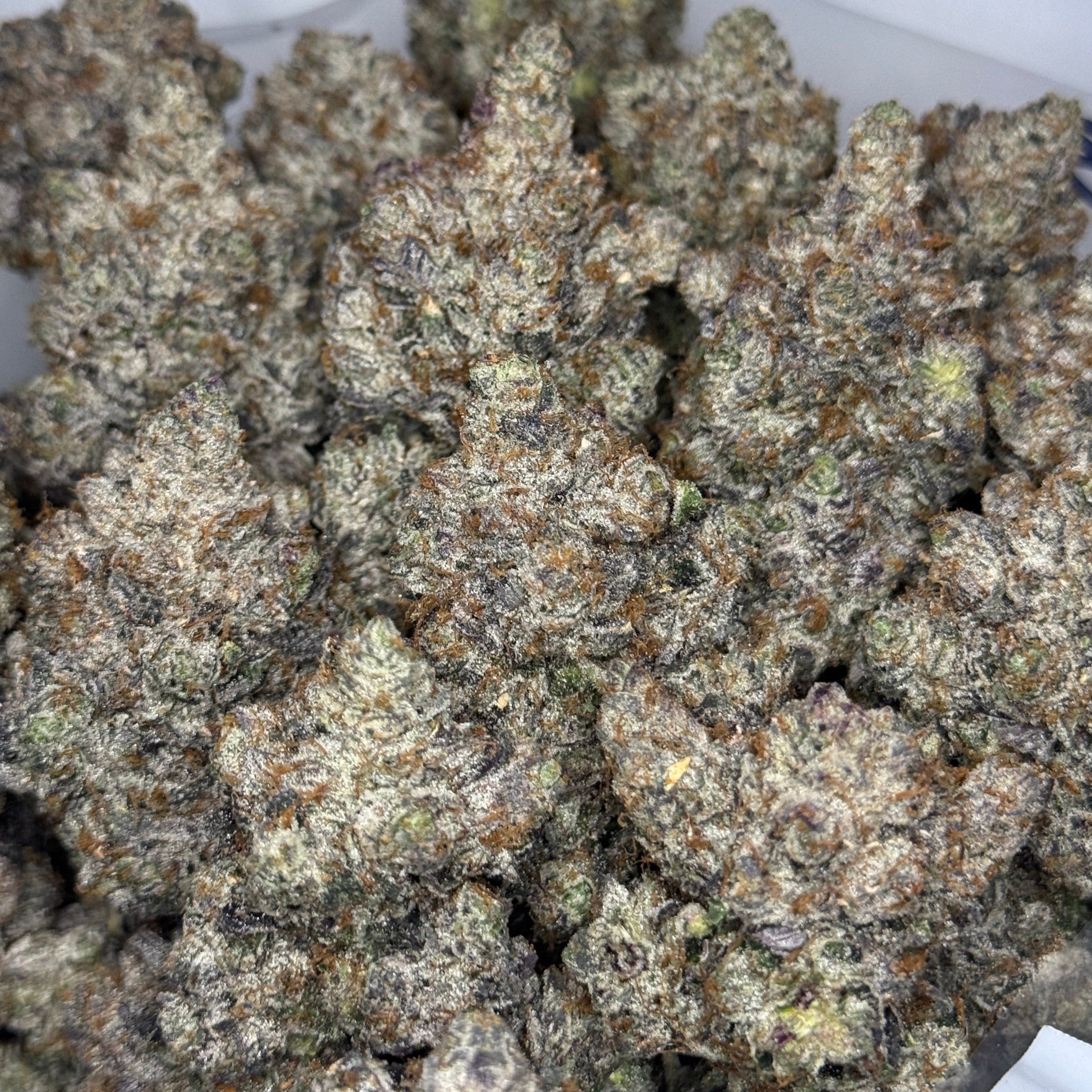 Pink Chapo LSO indica AAAAA super quad – pile of frosty purple-green buds – 37–38% THC luxury ⛽ gas strain – Toronto weed delivery